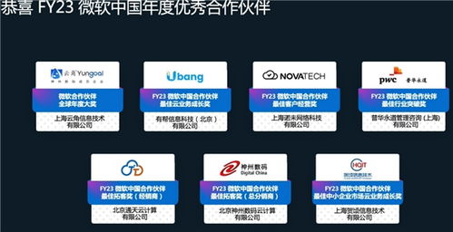 共绘数云融合蓝图 神州数码携手微软，以人工智能重塑数字文创软件开发新生态