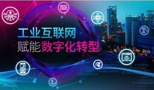 数字化转型 企业高质量发展的新引擎——以批零软件与数字文化创意软件开发为例